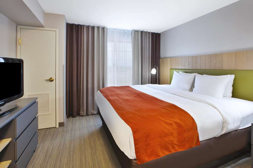 Suite, King Bed