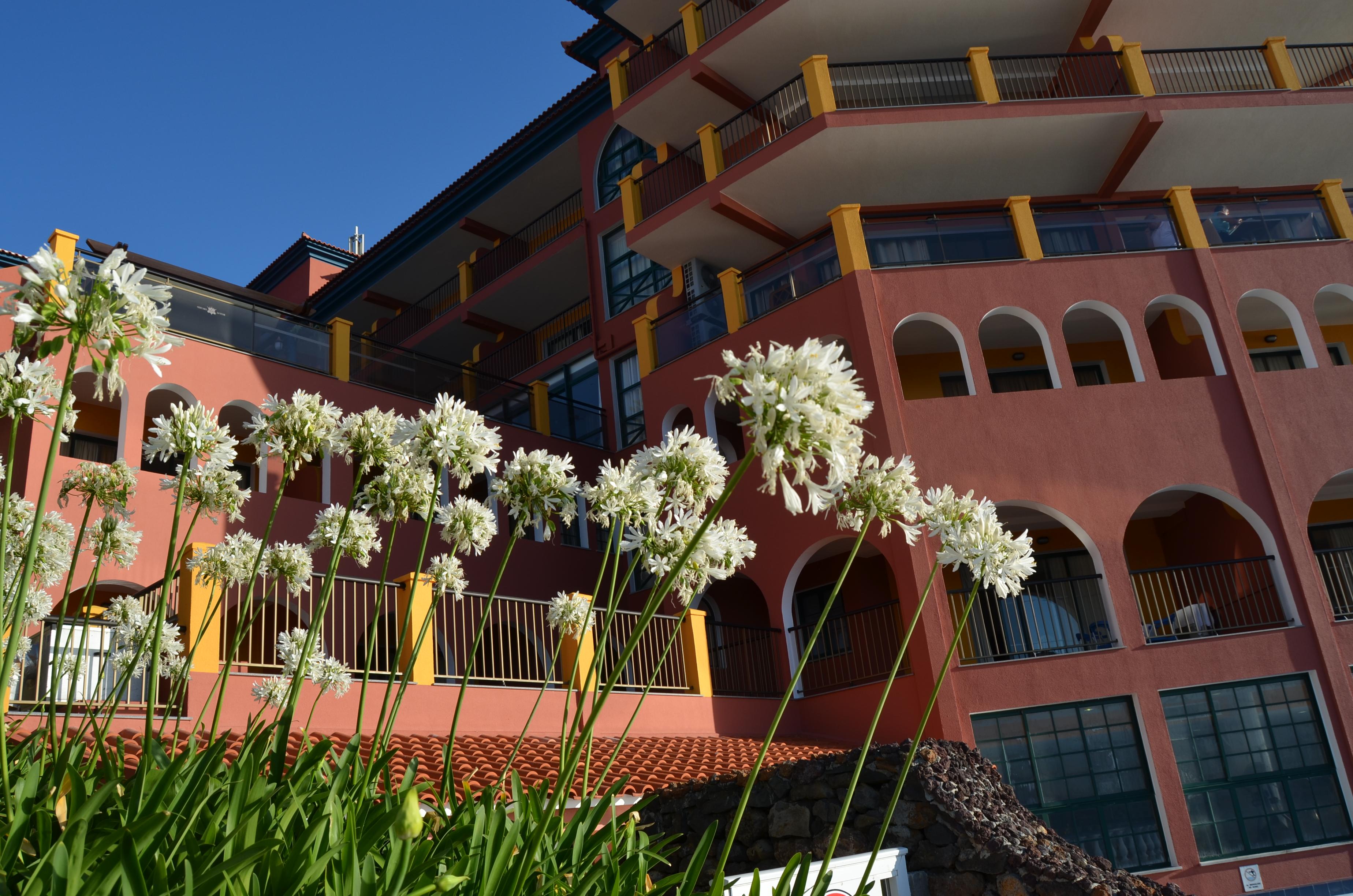 Royal Orchid in CANICO
