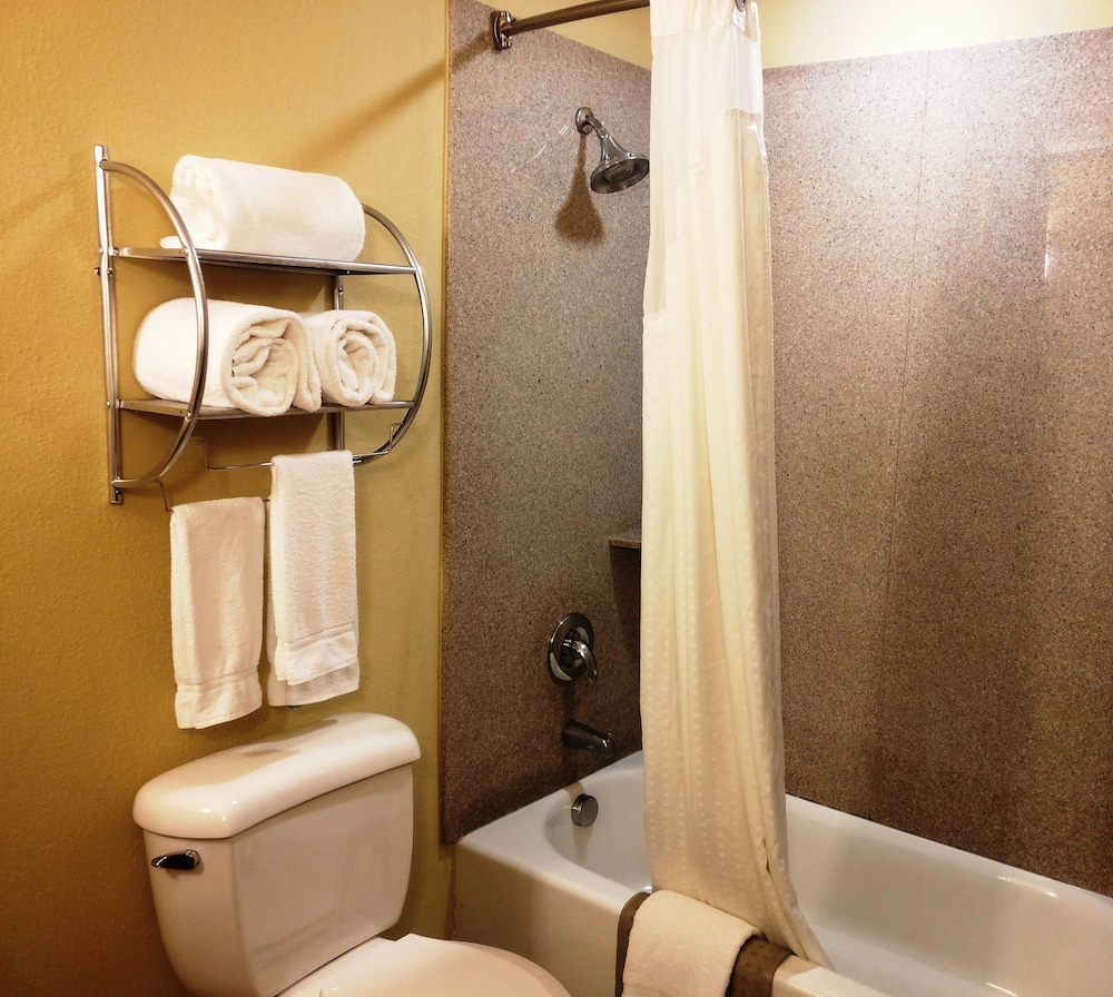 Holiday Inn Express & Suites Waller - Prairie View 24/54