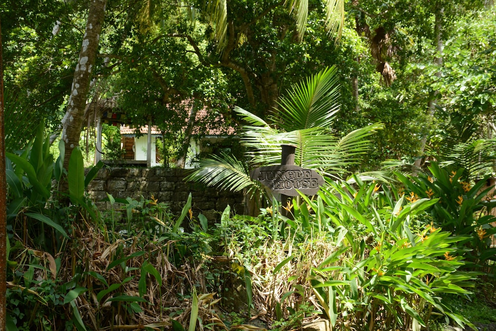 The Jungle House 39/50