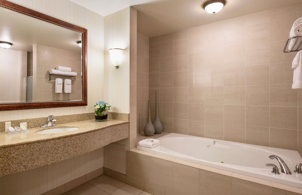 Hilton Garden Inn West Edmonton 13/47
