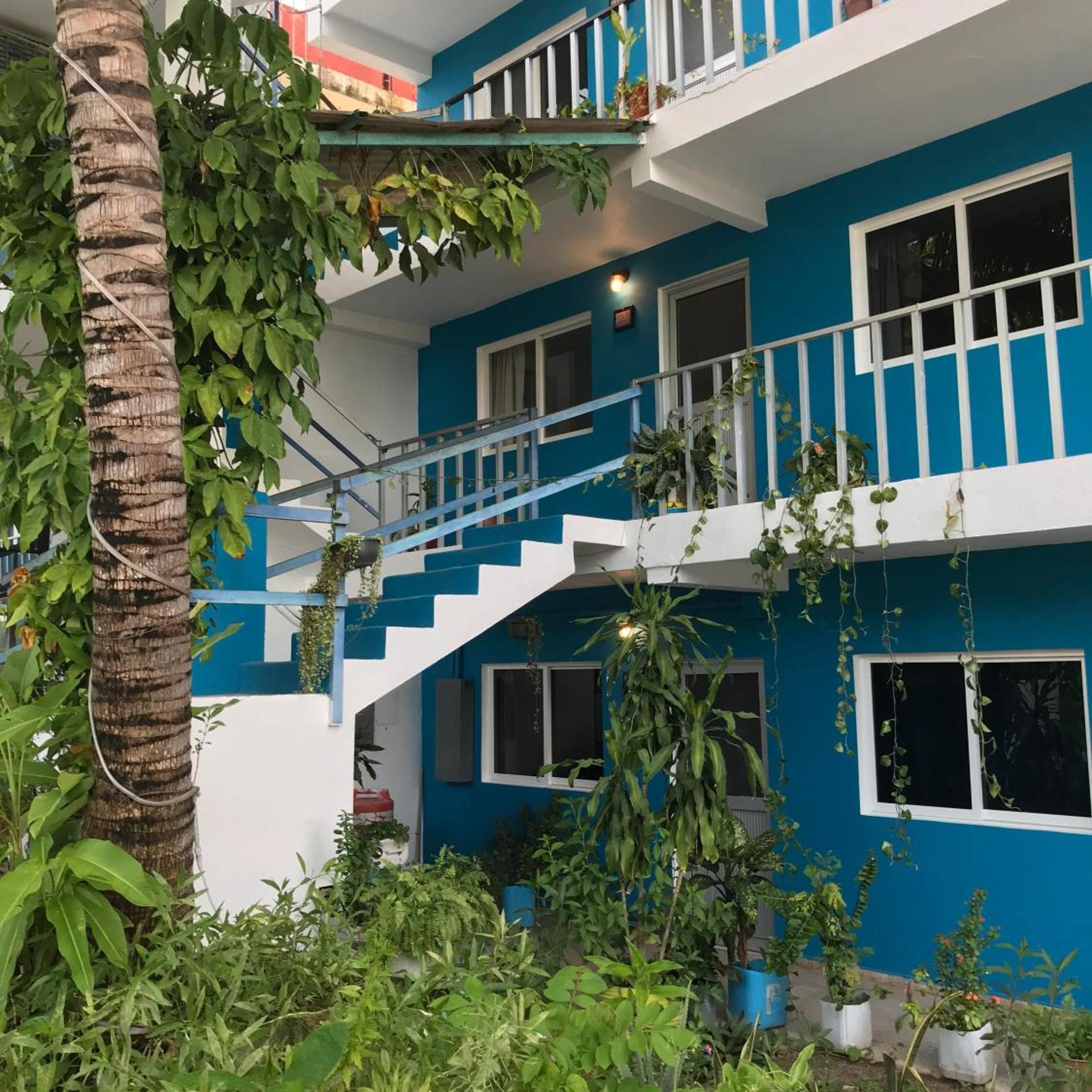 Blue Coconut Cancun 6/52
