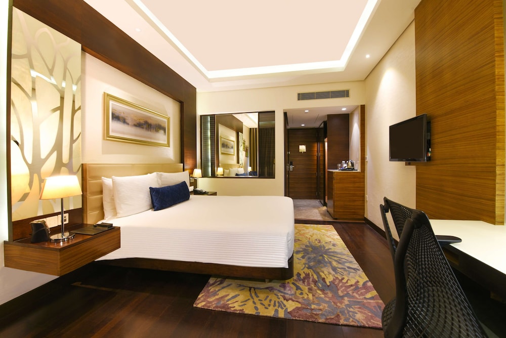 DoubleTree by Hilton Gurugram Baani Square 18/47