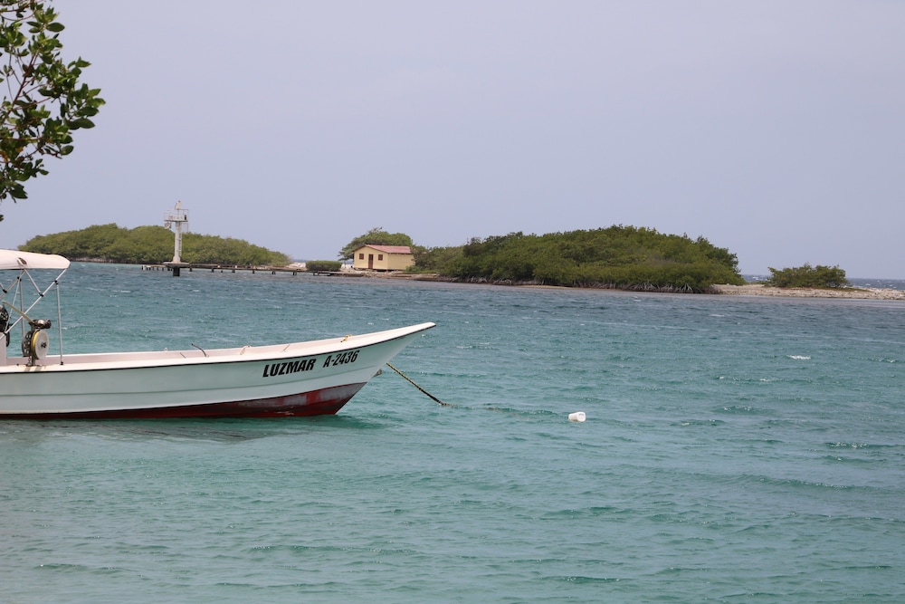 Coral Reef Beach Aruba 36/50