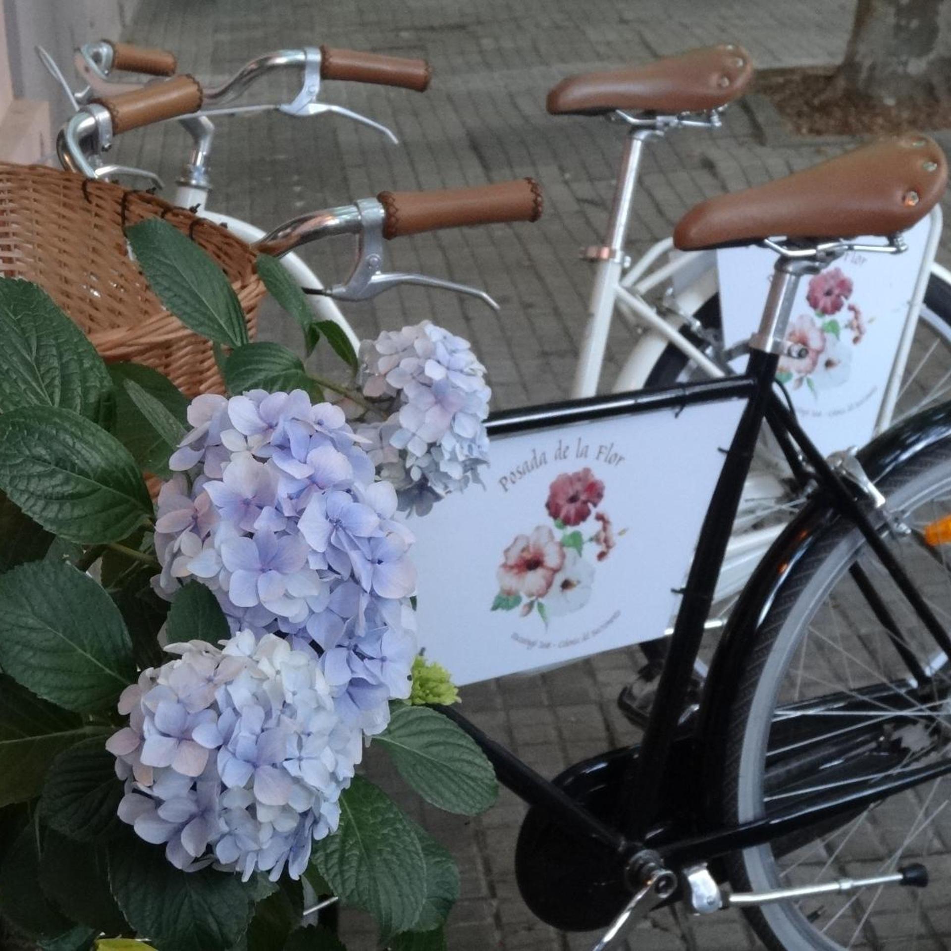 POSADA DE LA FLOR 27/50