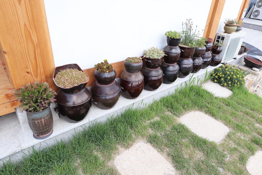 Nadul Hanok 46/50