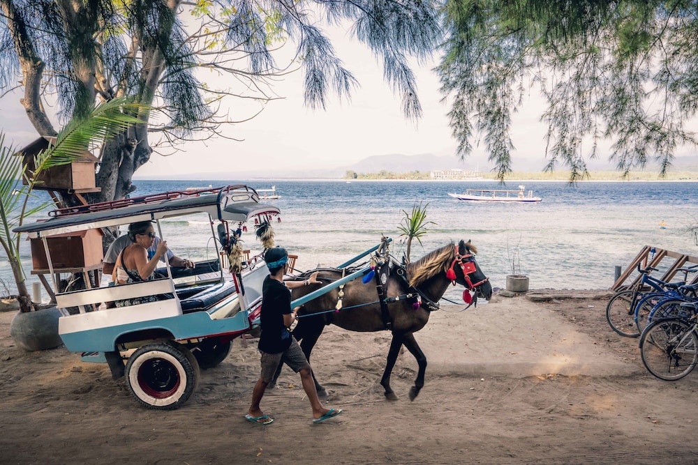 Manta Dive Resort Gili Air 49/63