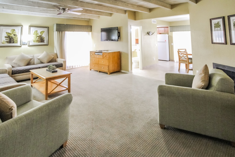 Desert Isle Of Palm Springs 33/50