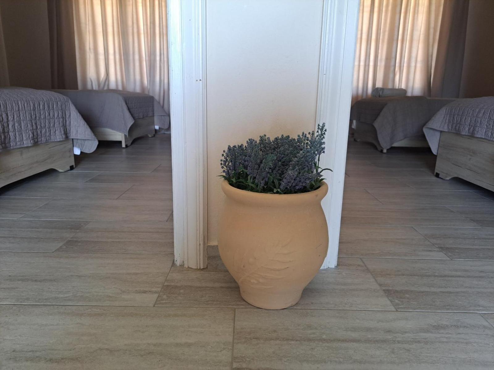 Potamos Apartments 图片2