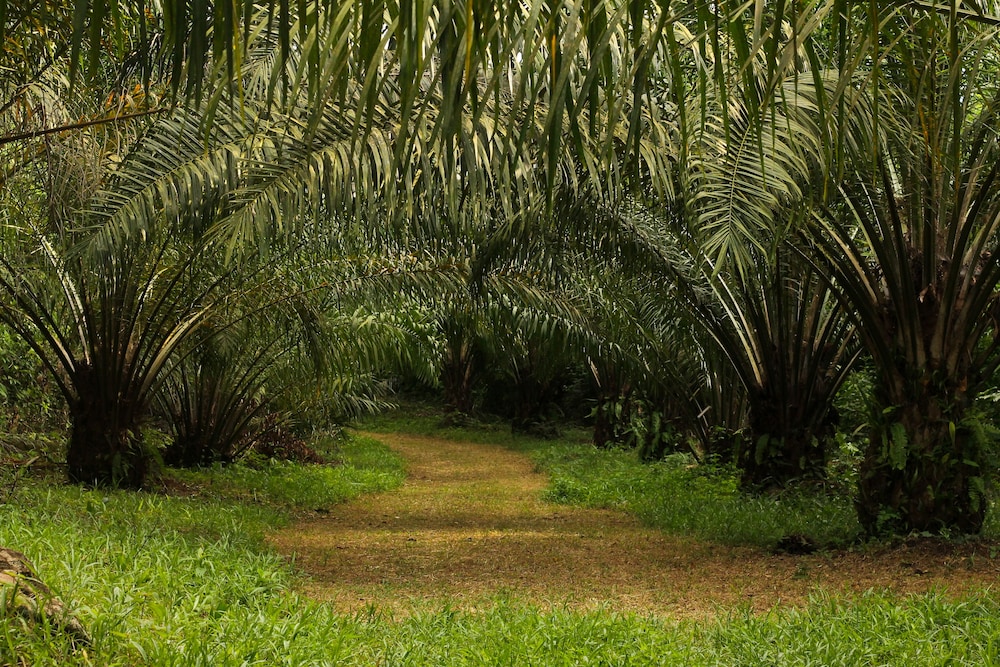 Corinto Pearl Eco Resort 42/53