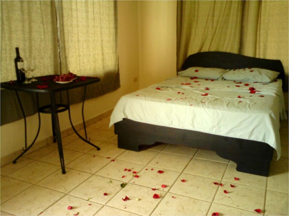 Blue Palm Hotel 12/31