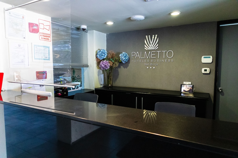 Palmetto Hotel Business San Borja 11/70