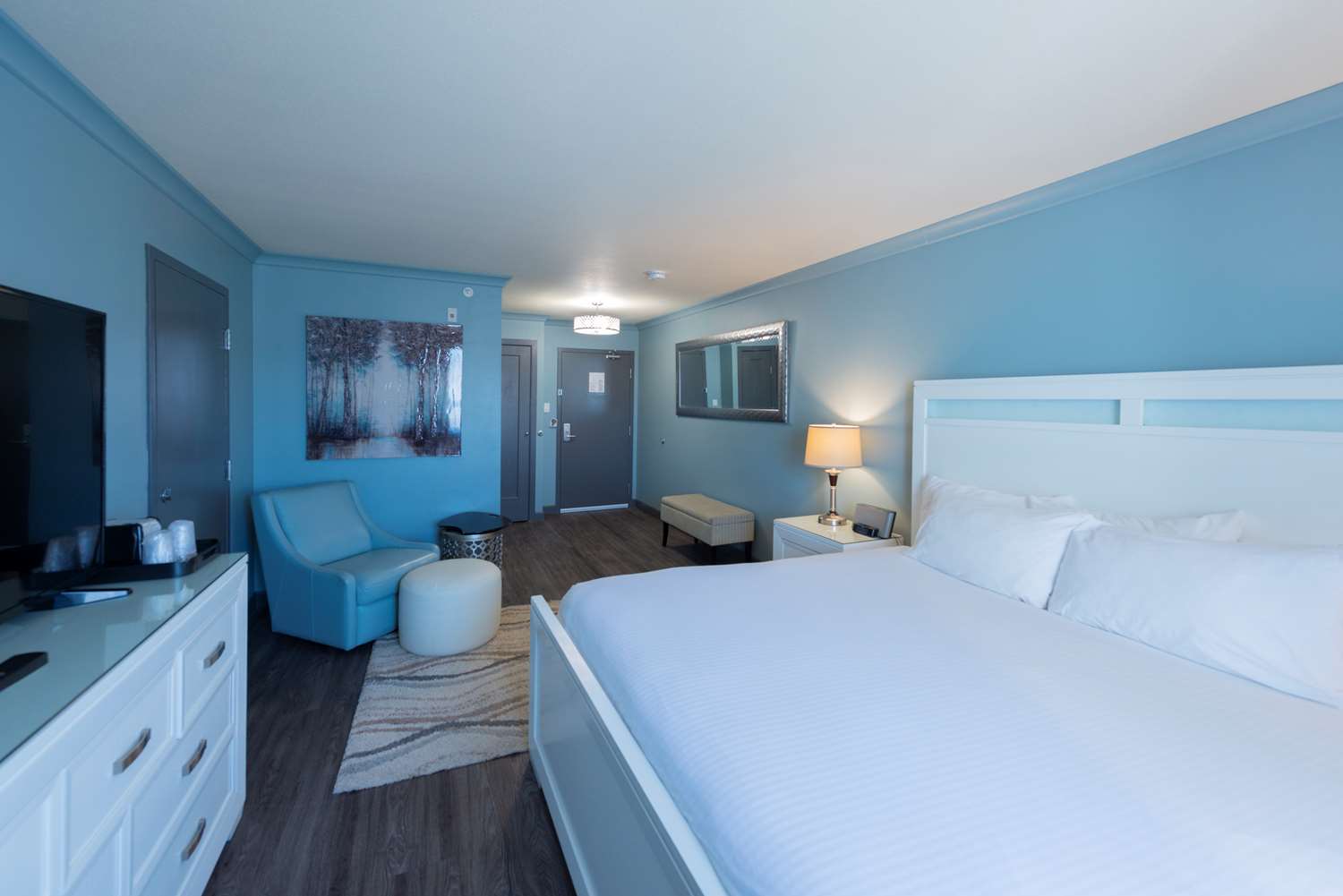 Room, King Bed