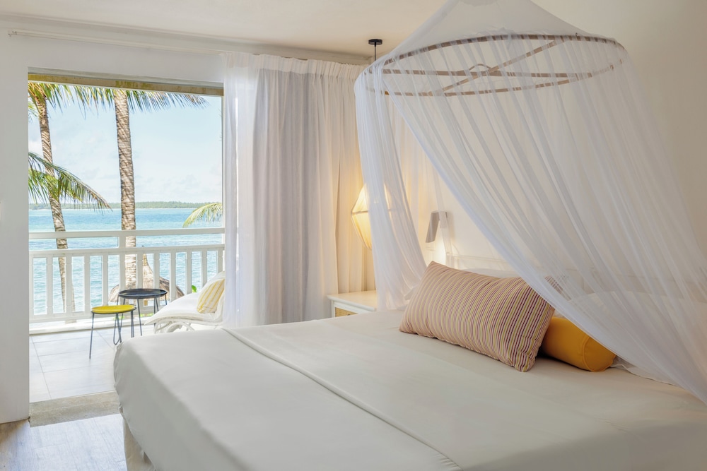 Tropical Attitude - Adults Only 22/72