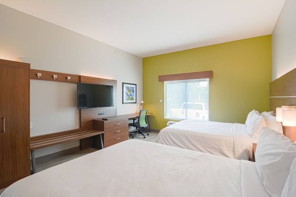 Holiday Inn Express Hotel Suites Tampa Usf Busch Gardens 25/70