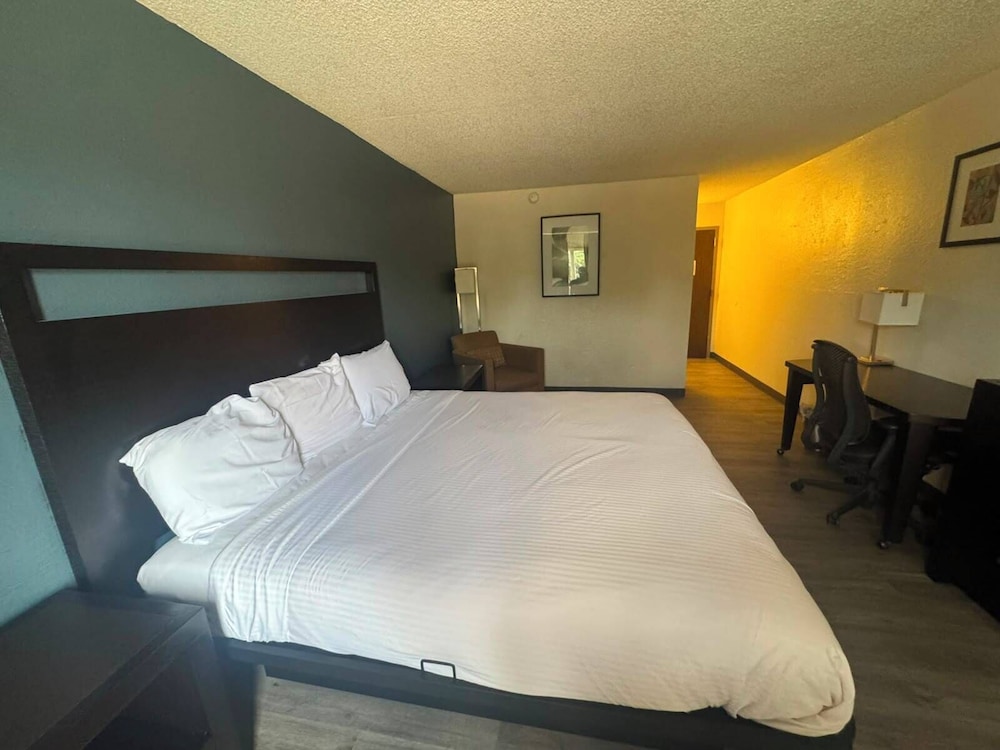 Express Inn Suites 19/58