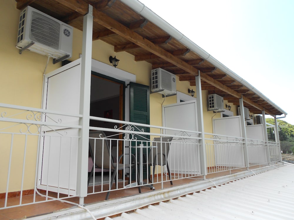 Anemona Studios 1/17