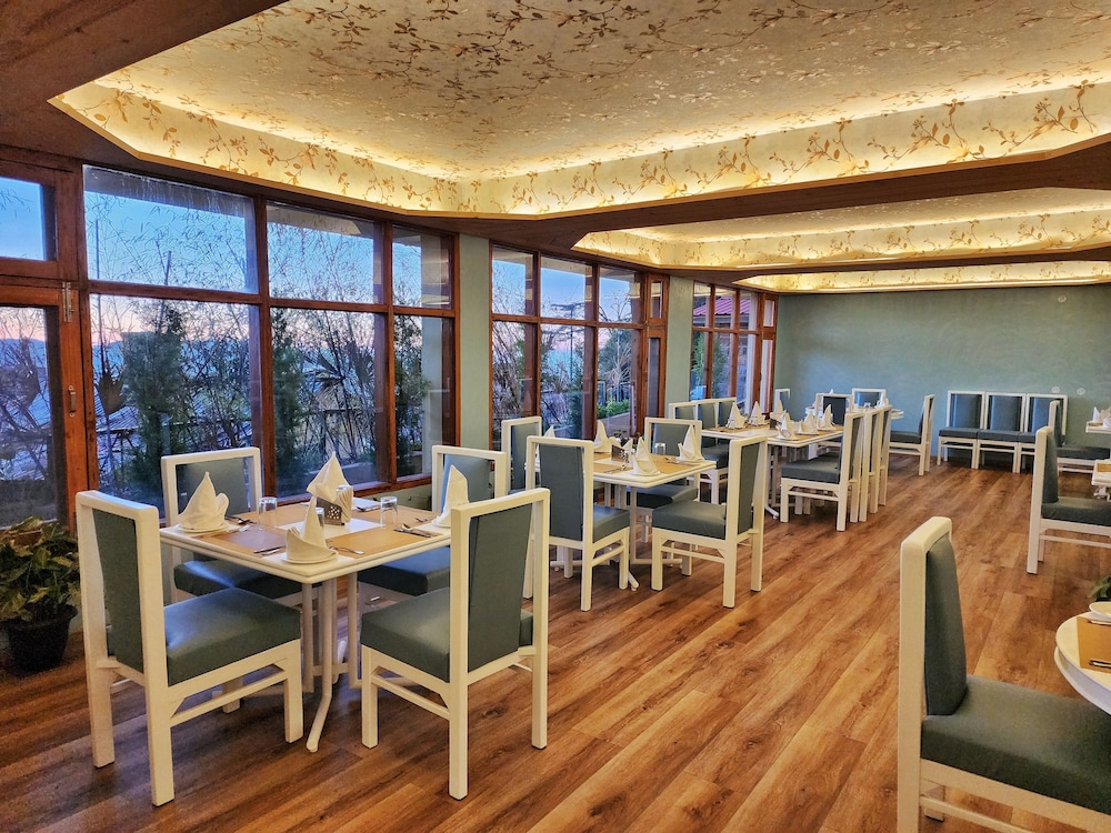 Hotel Pine View ( Pure Vegetarian ) 33/50