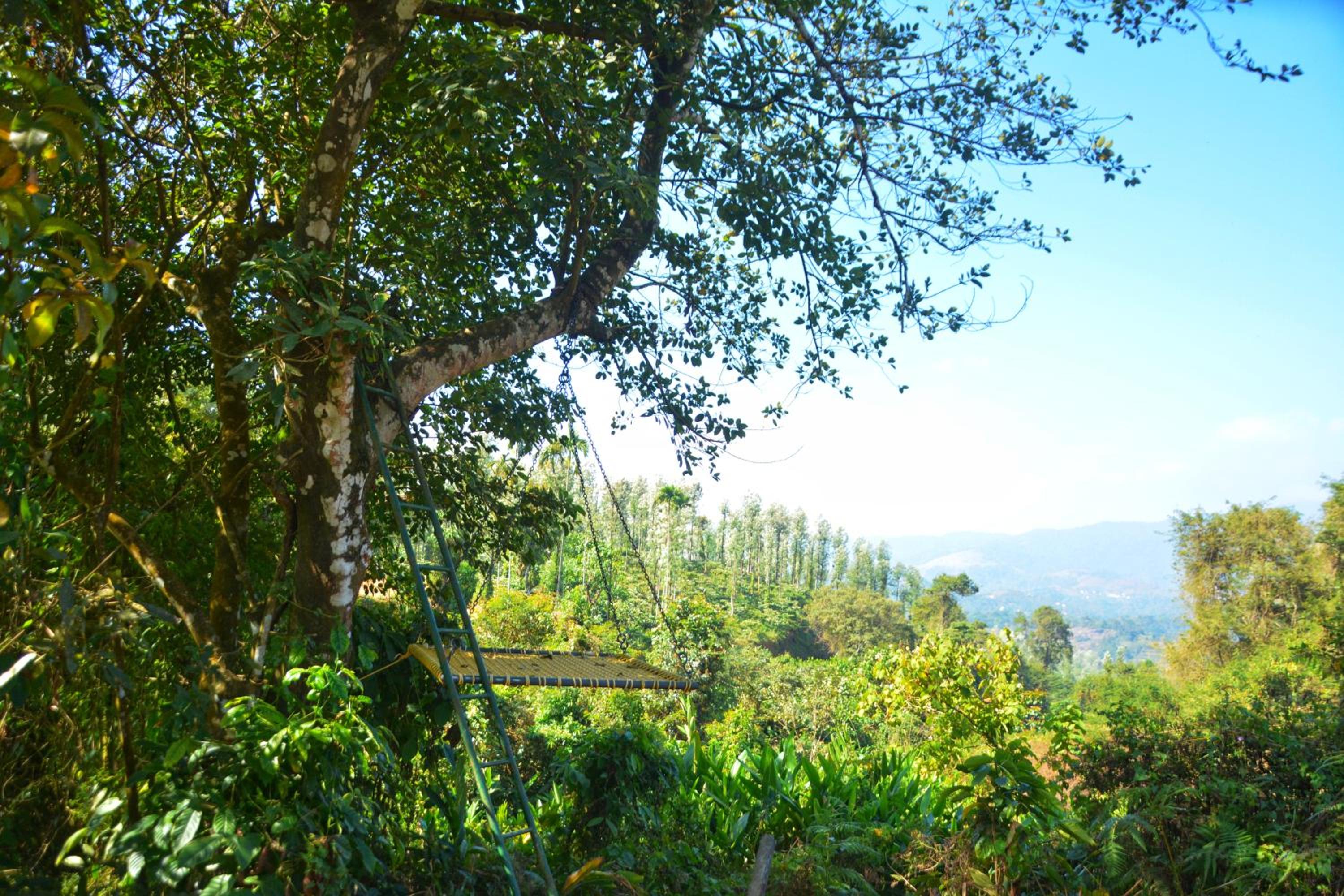 Annapara Home Stay 30/41