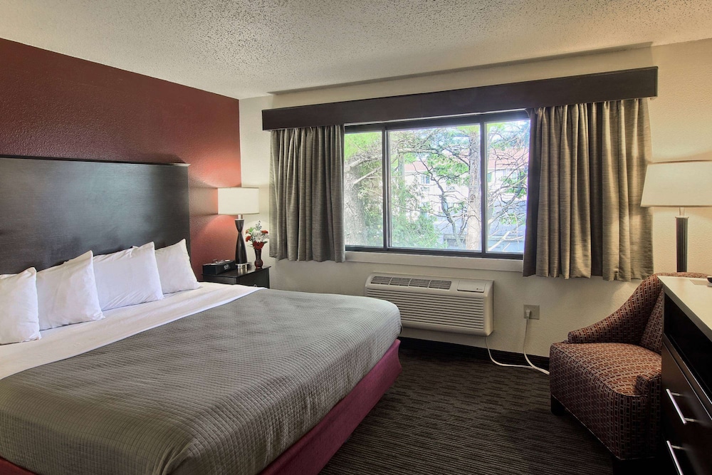 Blossom Hotel & Suites Traverse City 12/64