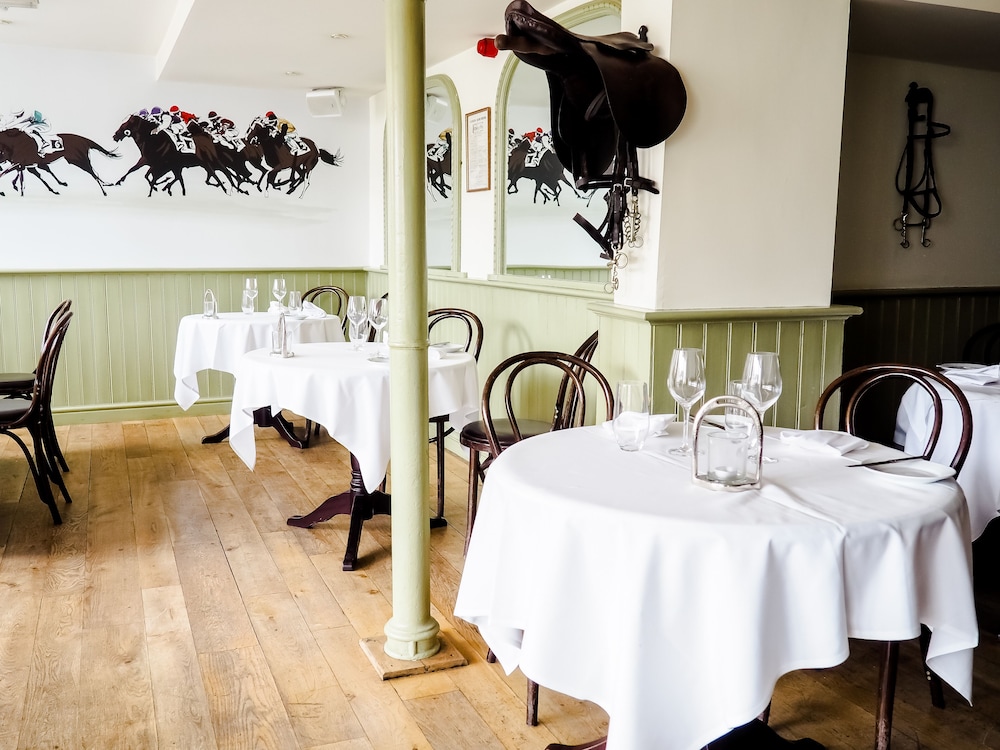 The White Swan Hotel 22/44