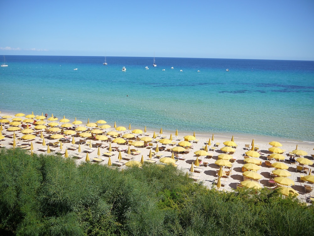 Free Beach Club 32/42