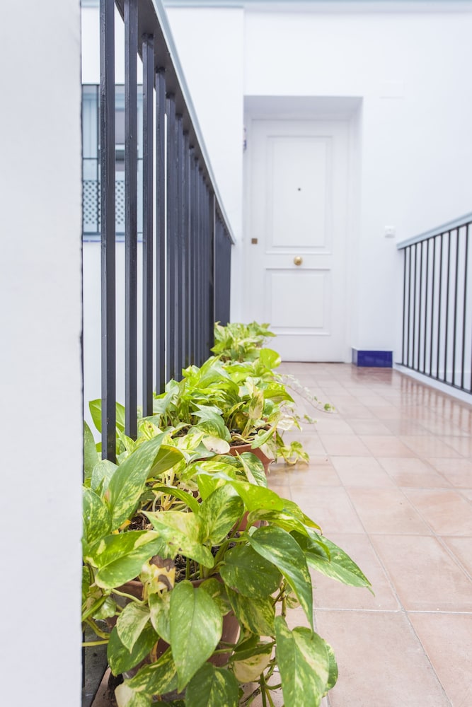 Apartamentos Suites Santa Cruz 7/52