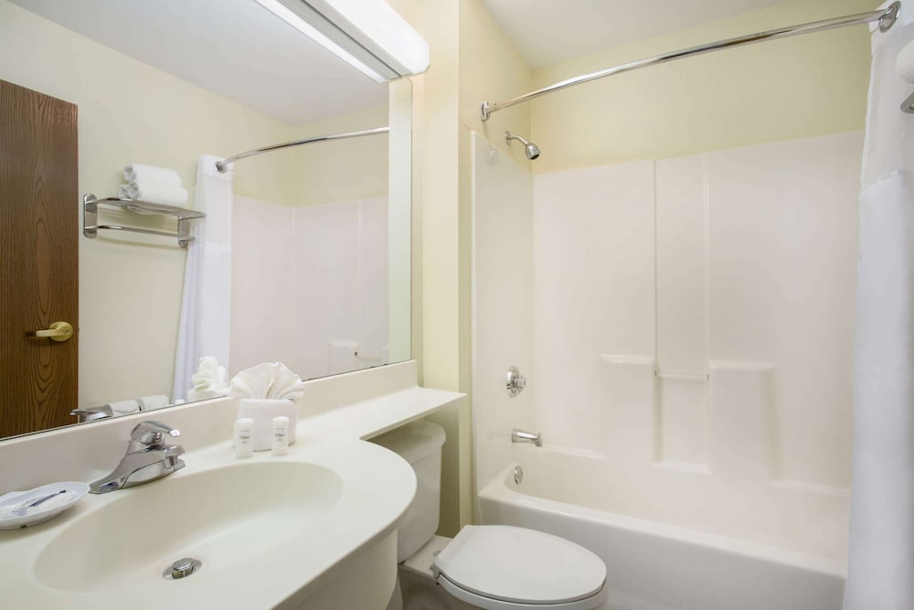 Microtel Inn & Suites by Wyndham Leesburg/Mt Dora 33/38
