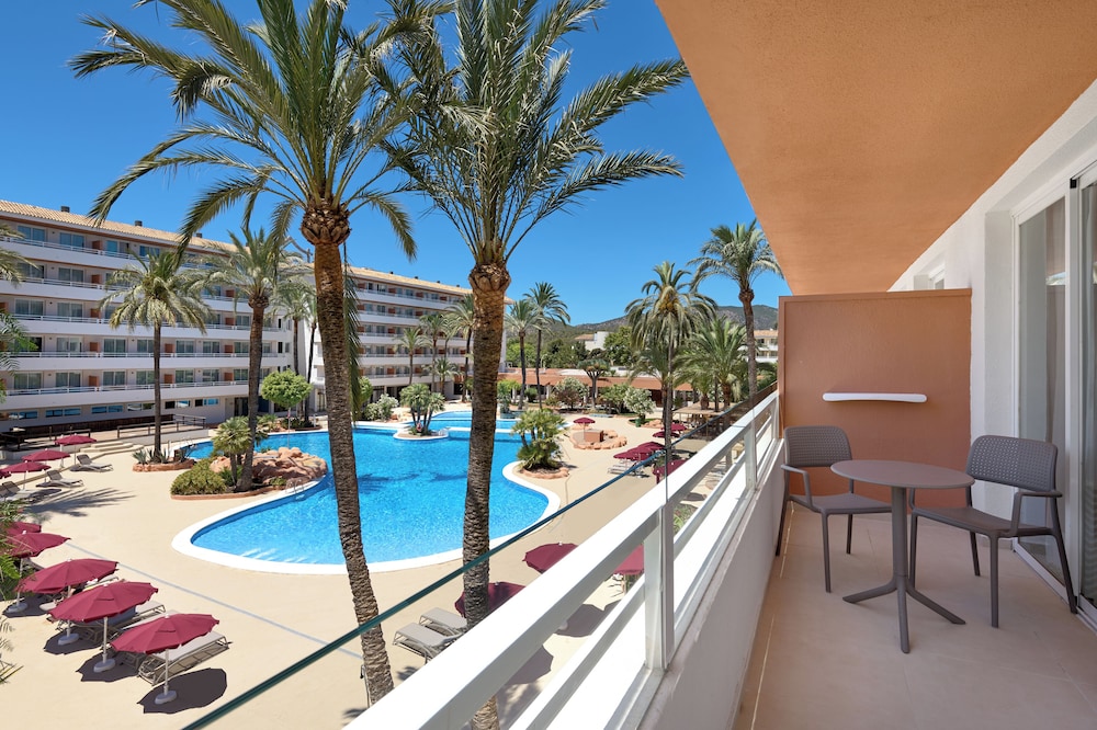 Tent Calvia Beach 37/57