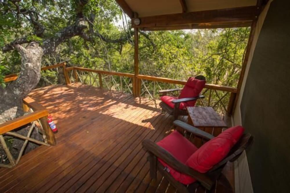 Lion Tree Top Lodge 22/36