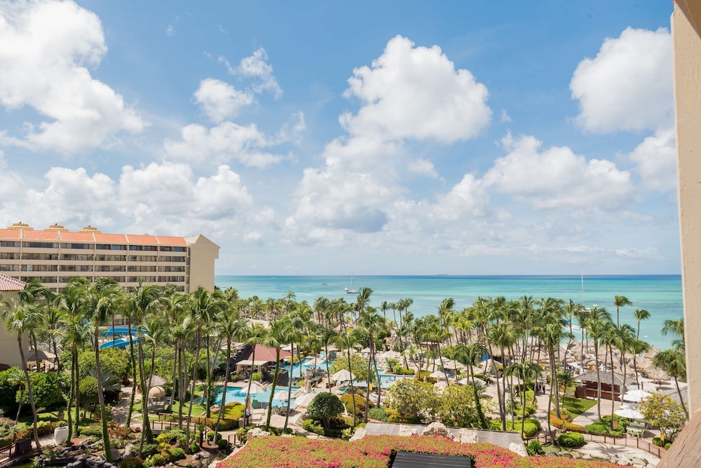 Hyatt Regency Aruba Resort Spa And Casino 7/64