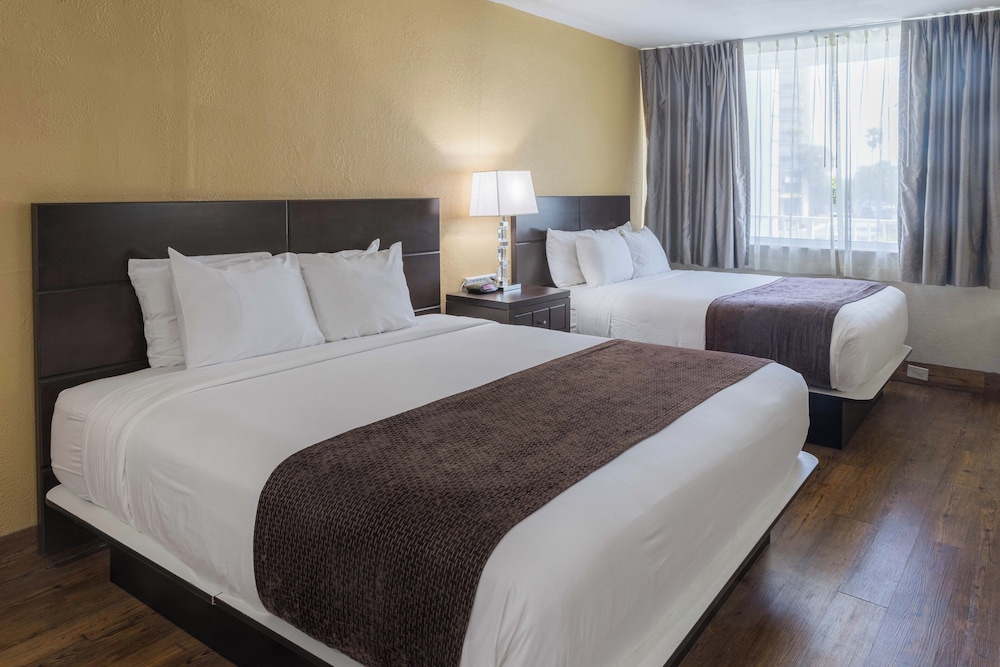 COMFORT, KING AND QUEEN BED