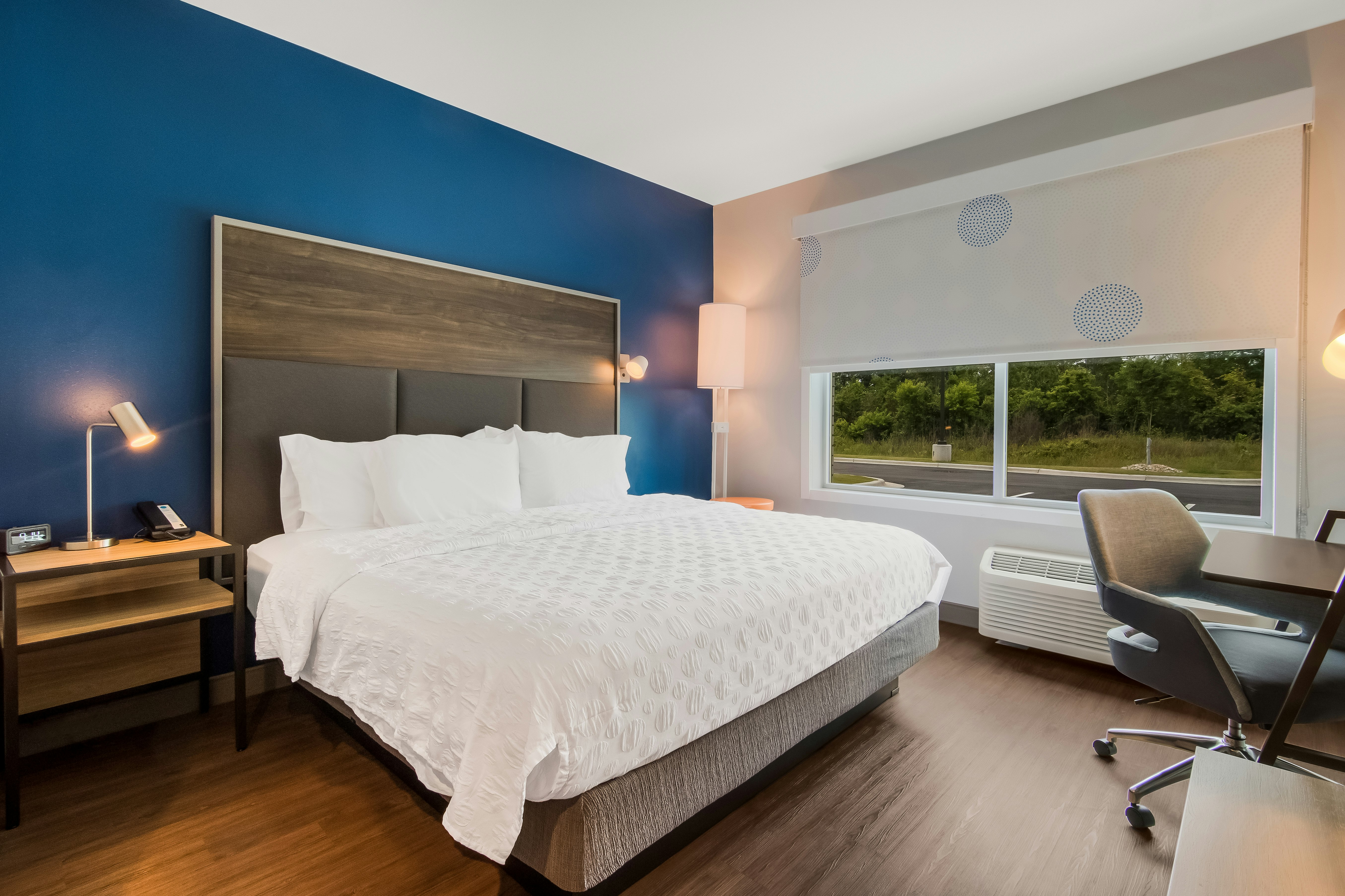 Room, King Bed