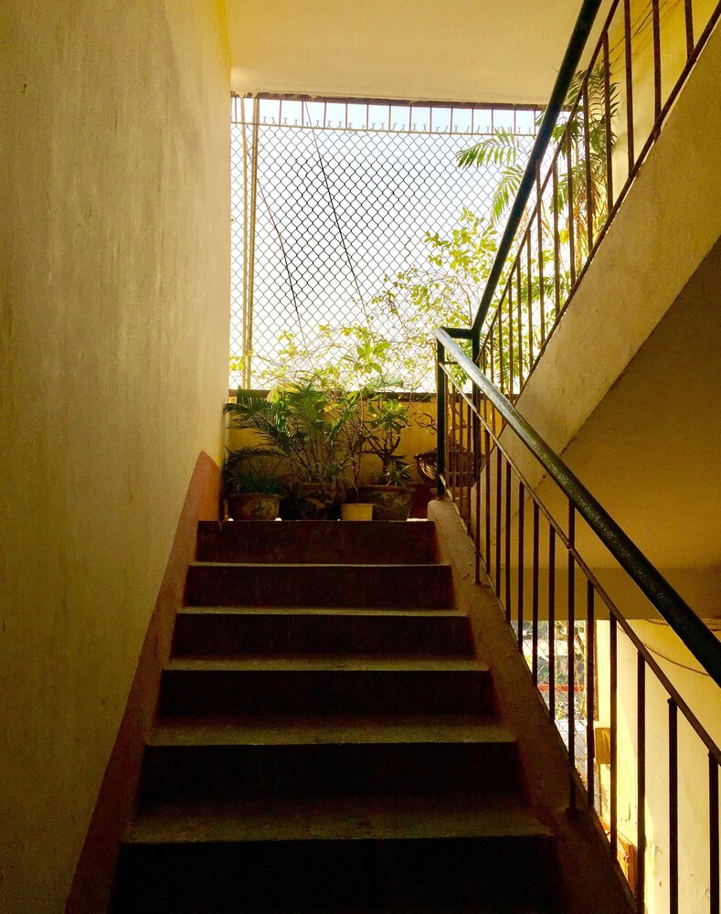 A Green Home 11/30