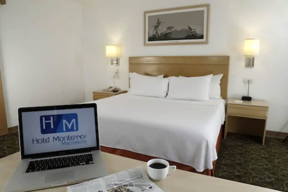 Hotel Monterrey Macroplaza 29/60