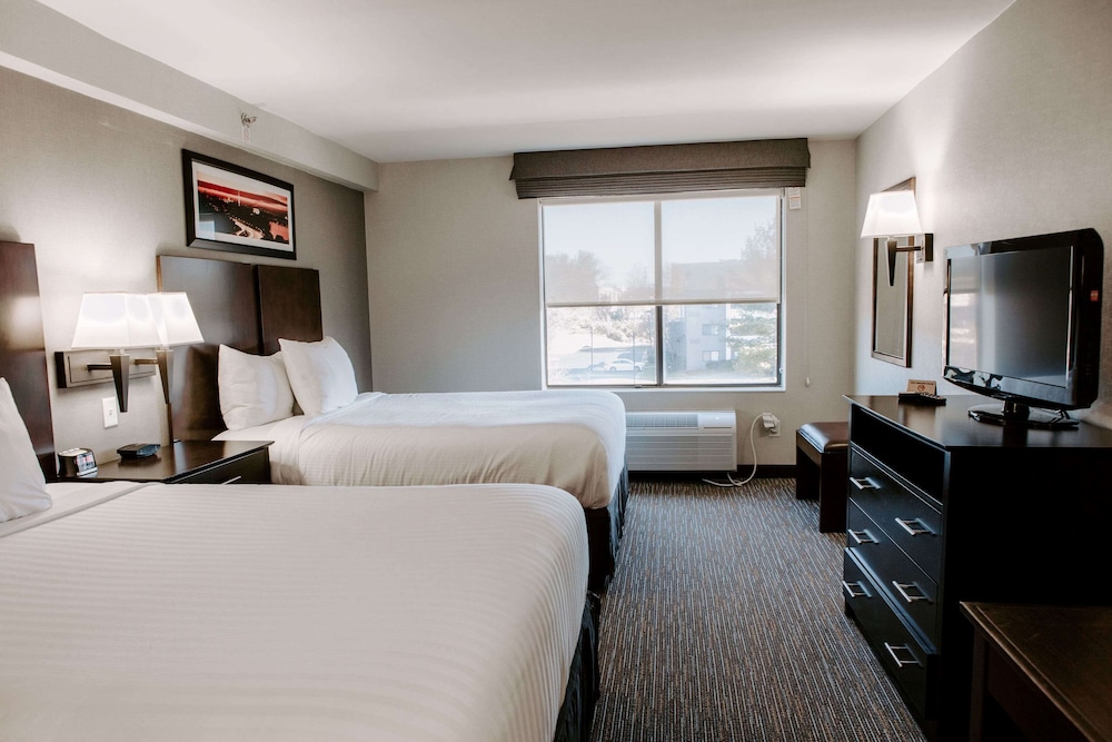 Wingate by Wyndham Chantilly / Dulles Airport 19/48