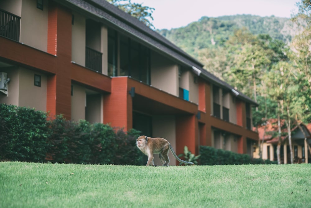 Tonsai Bay Resort 41/50