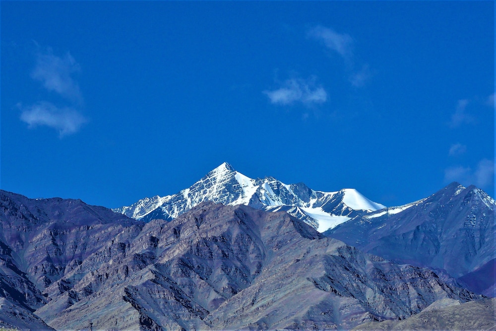 The Driftwood Ladakh 42/50