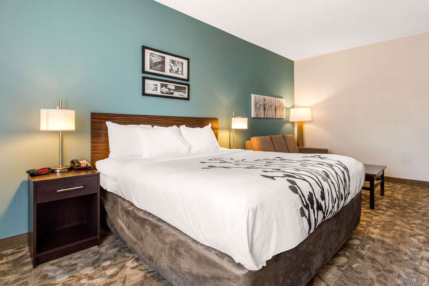 Efficiency, Suite, King Bed