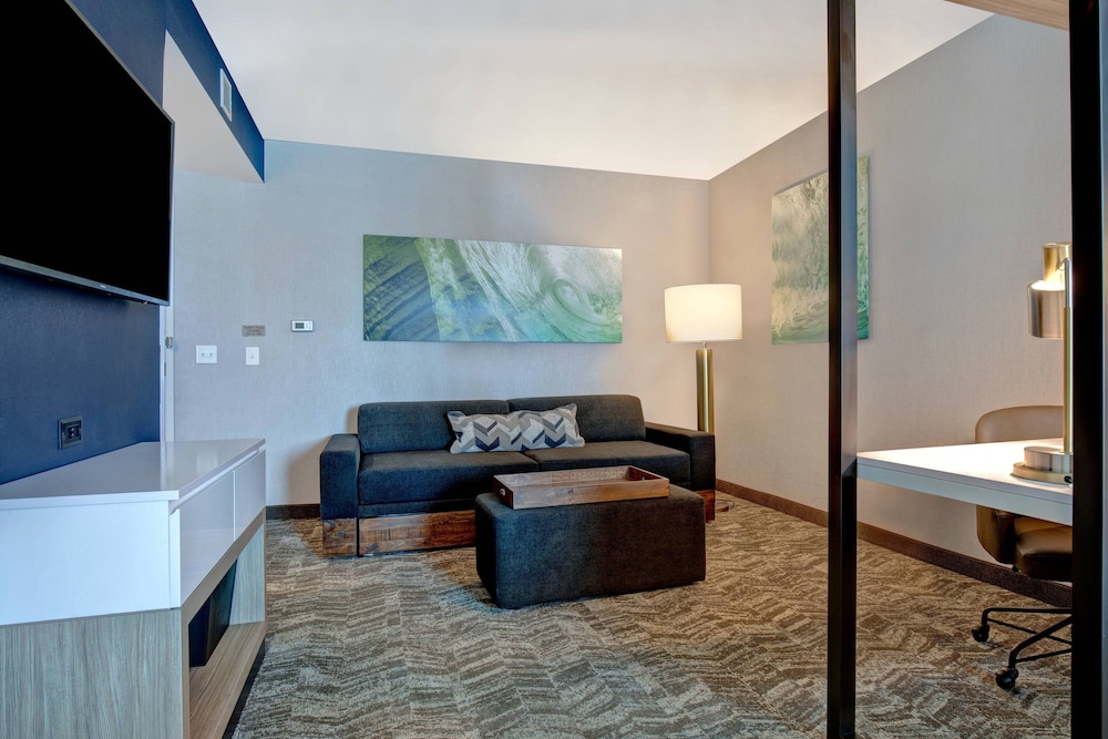 SpringHill Suites by Marriott Orangeburg 34/52
