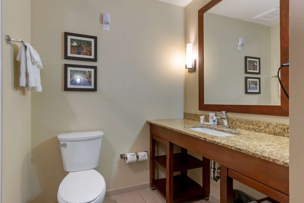Comfort Suites Billings, MT 16/41