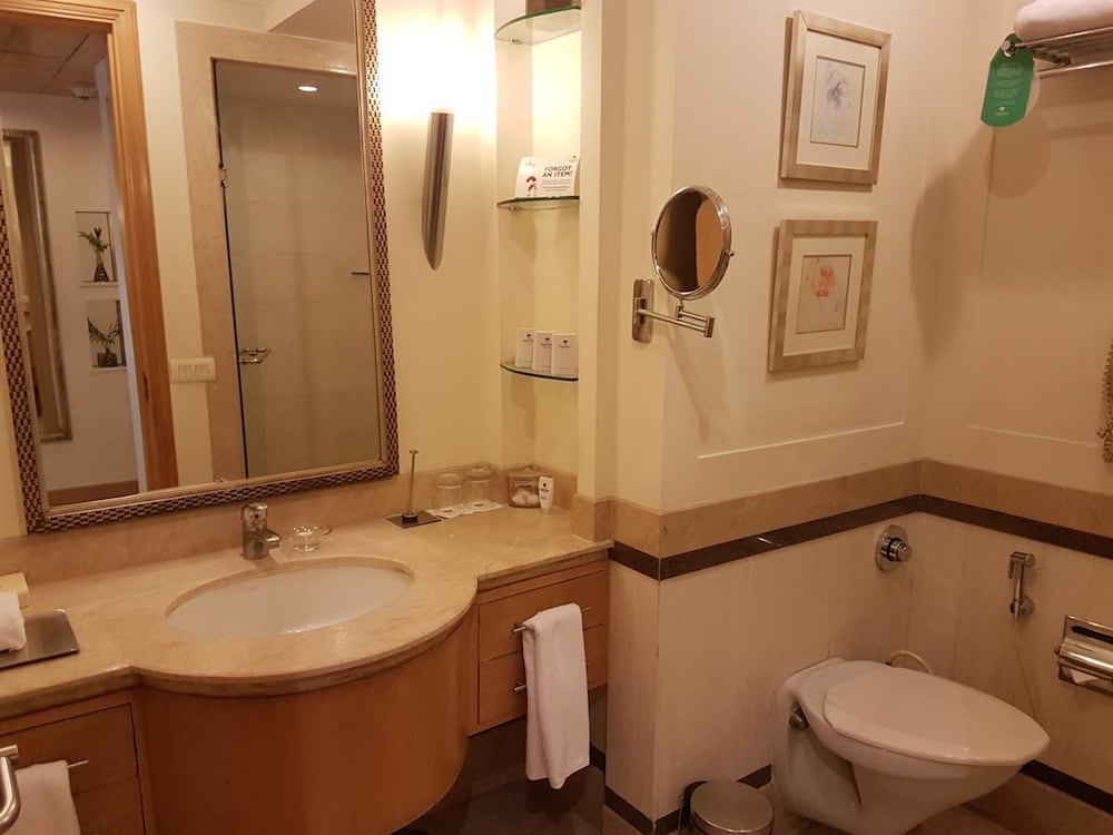 Park Plaza Gurugram 18/66