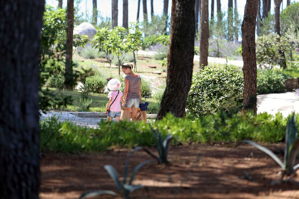 Aminess Vival Velaris Resort 81/90