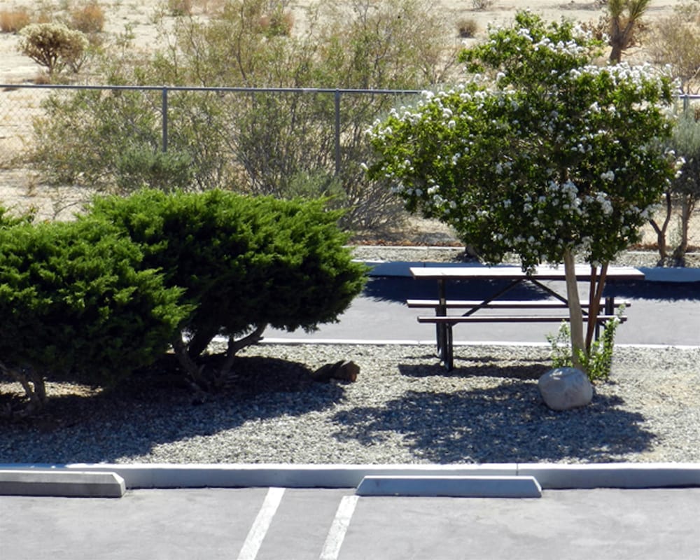 High Desert Motel Joshua Tree National Park 30/40