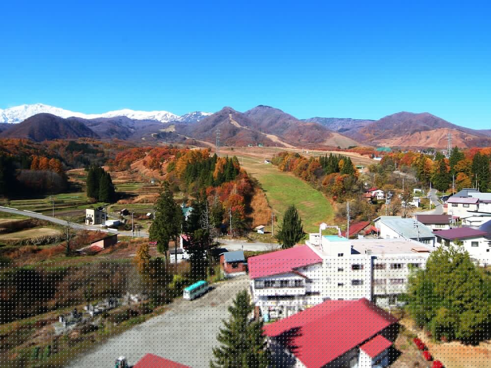 Pension Kobekko 3/67