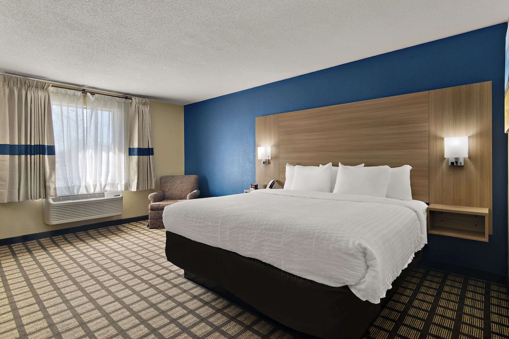 Suite, King Bed