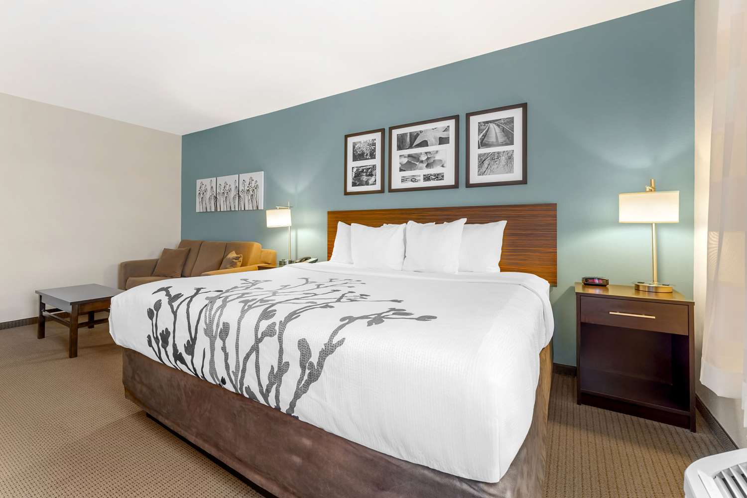 Suite, King Bed