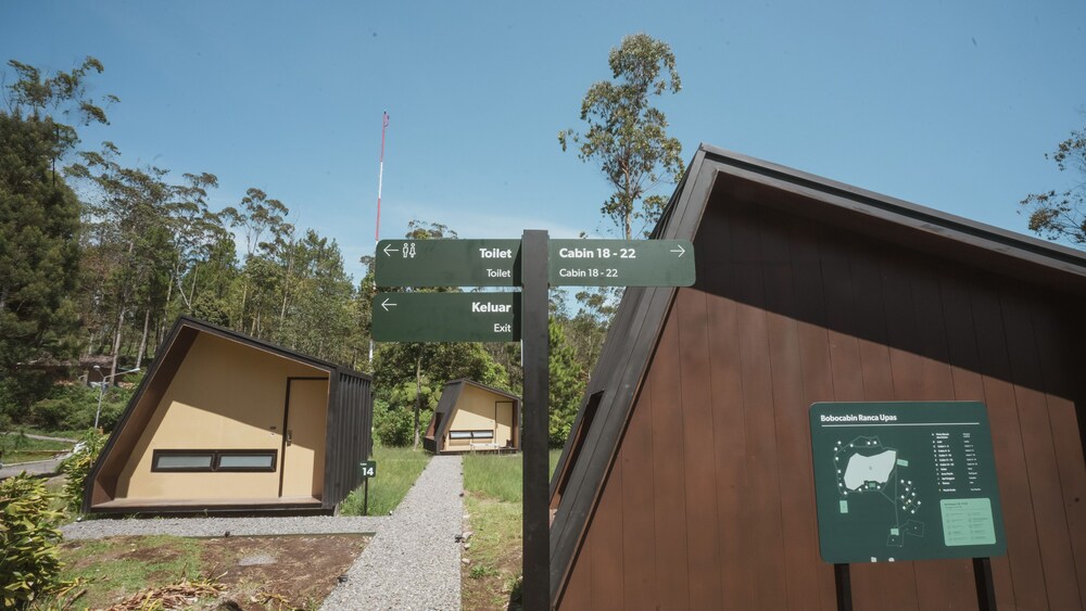 Bobocabin Ranca Upas 6/49