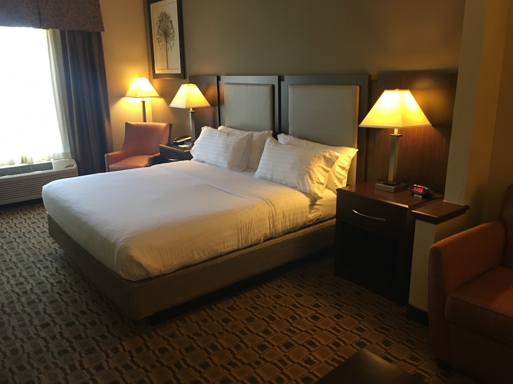 Holiday Inn Express Suites Albemarle 16/51