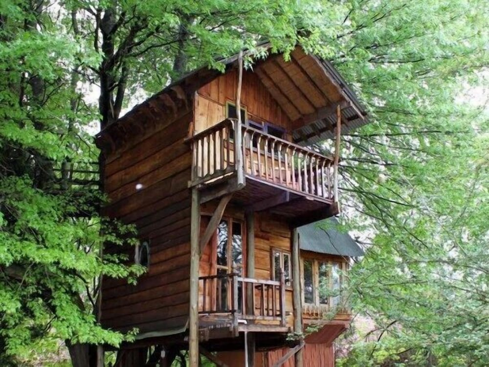 Sycamore Avenue Treehouses 4/50